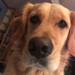 Meet your Posher, Sue